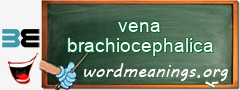 WordMeaning blackboard for vena brachiocephalica